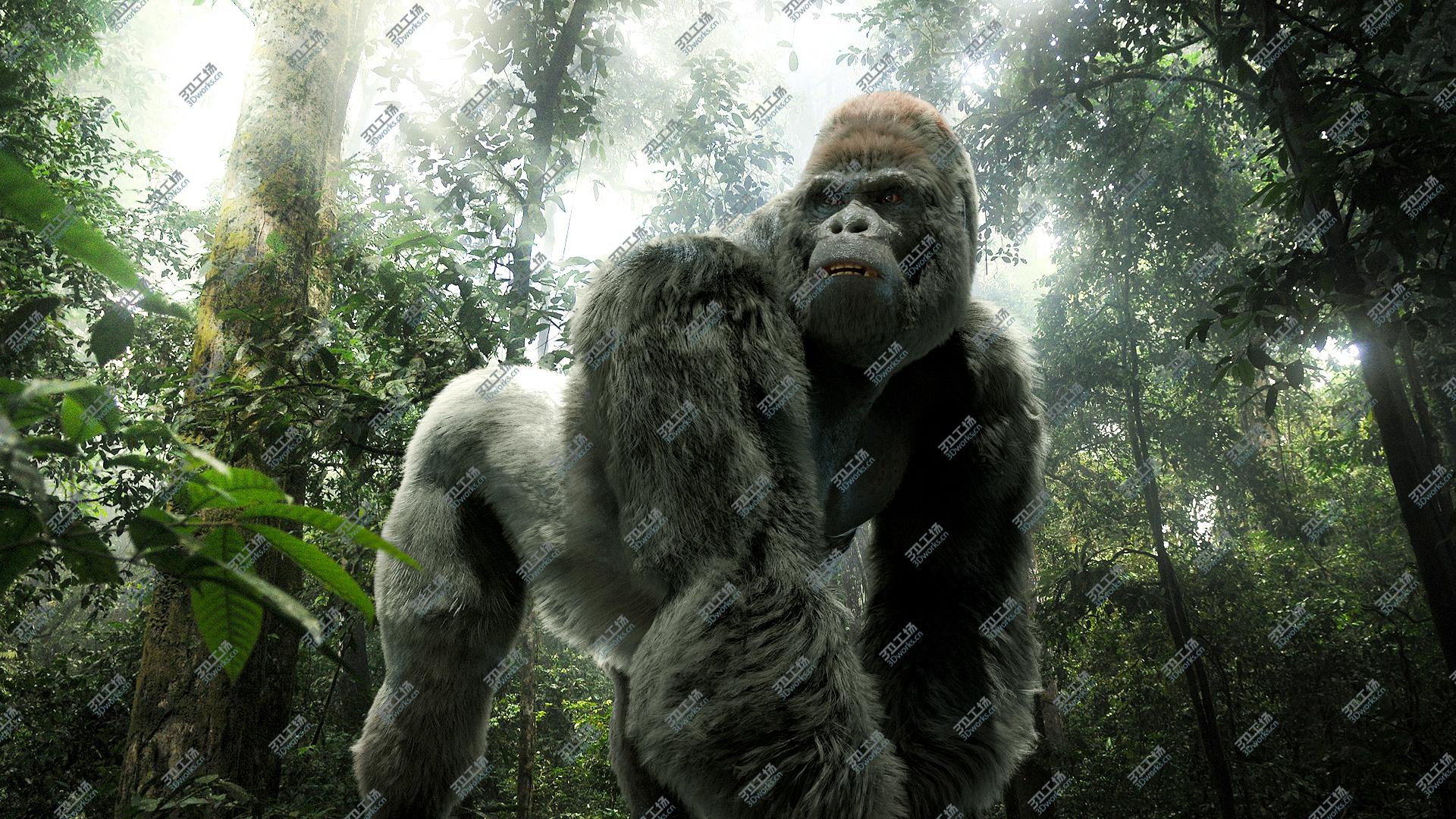 images/goods_img/20210114/Mountain Gorilla Fur (Rigged) 3D model/2.jpg